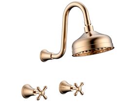 Posh Canterbury Gooseneck Shower Set Cross Handles Brass Gold (3 Star)